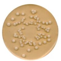 Potato Dextrose Agar, PDA 500g