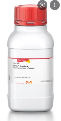 Pancreatic Digest of Casein, powder (Tryptone) 250g - ideal solutions