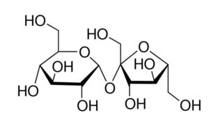 Sucrose for molecular biology