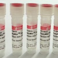 KiCqStart® One-Step Probe RT-qPCR ReadyMix™