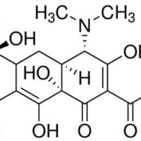 Potato Dextrose Broth