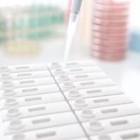 VIP® Gold Salmonella Rapid Test kit [40 Tests]