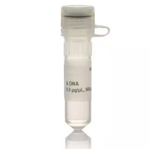 DNA, lambda 1ml