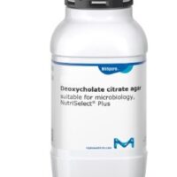 Deoxycholate citrate agar 500g