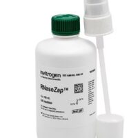 RNaseZAP™, RNAse cleaner