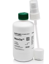 RNaseZAP™, RNAse cleaner