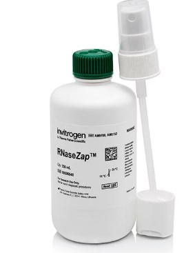 RNaseZAP™, RNAse cleaner