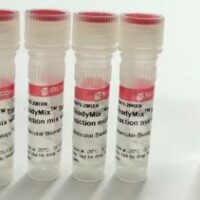 ReadyMix™ Taq PCR Reaction Mix [100 reactions]