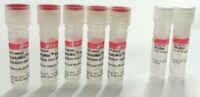 ReadyMix™ Taq PCR Reaction Mix [100 reactions]