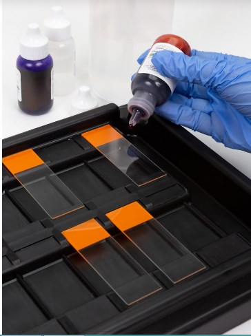 Microscope Slide Staining Tray