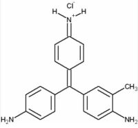 Fuchsin basic for microbiology