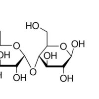 D-(+)-Maltose monohydrate 1kg