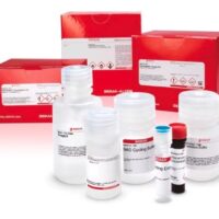 Glucose (GO) Assay Kit [sufficient for 20 assays]