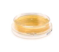 Tryptic Soy Agar TSA with Lecithin and Tween® - ICR plus Contact plate, 55mm