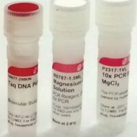Taq DNA Polymerase with 10× PCR reaction buffer containing MgCl2 [250 units]