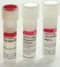 Taq DNA Polymerase with 10× PCR reaction buffer without MgCl2 [250 units]