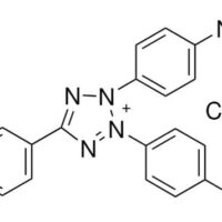 Iodonitrotetrazolium chloride 95%