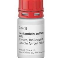 Gentamicin sulfate salt