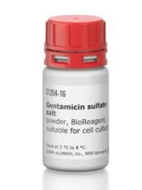 Gentamicin sulfate salt