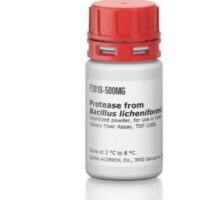 Protease from Bacillus licheniformis