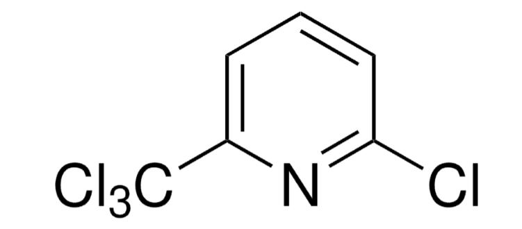 2-Chloro-6-(trichloromethyl)pyridine
