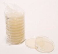 R2A Agar chromogenic,  90 mm settle plates
