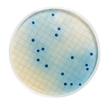 Rosolic Acid (Dehydrated)