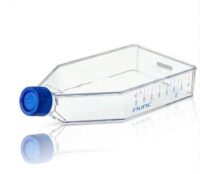 Nunc® EasYFlasks™, Nunclon® Δ Surface, Nunclon® Δ surface treatment, 75 cm2 angled neck, vent/close cap