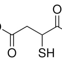 Mercaptosuccinic acid