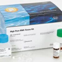 RNase A solution