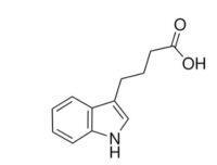 Indole-3-butyric acid
