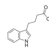 Indole-3-butyric acid