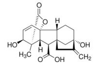 Gibberellic acid