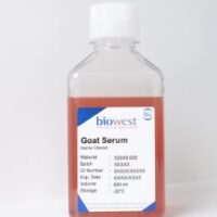 Goat Serum