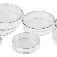 Petri dishes, polystyrene size 150 mm × 15 mm