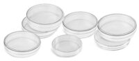 Petri dishes, polystyrene size 150 mm × 15 mm