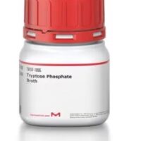 Tryptose Phosphate Broth