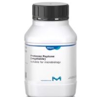 Proteose Peptone (vegetable) 500g