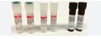 Nancy-520 suitable for RT-PCR, ≥95.0% (HPCE)