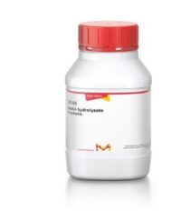 Gelatin hydrolysate Enzymatic