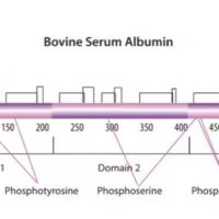 Bovine Serum Albumin solution, 30% in DPBS
