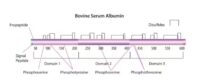 Bovine Serum Albumin solution, 30% in DPBS