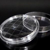 Rodac contact plate, 65mm diameter