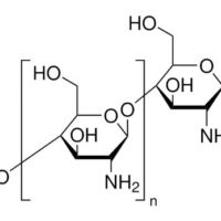 Chitosan
