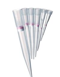 Eppendorf® ep Dualfilter T.I.P.S.® sterile,10 racks x 96 tips
