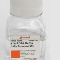 TE Buffer, 100X, Molecular Biology Grade