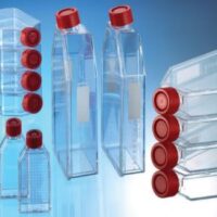 Greiner culture flasks, tissue culture treated, T25 Flask