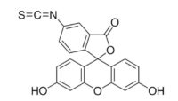Fluorescein 5(6)-isothiocyanate