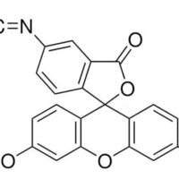 Fluorescein 5(6)-isothiocyanate