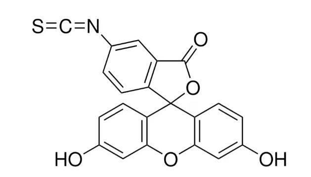 Fluorescein 5(6)-isothiocyanate